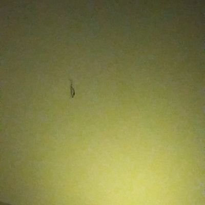 JohnGoo450342's profile picture. 