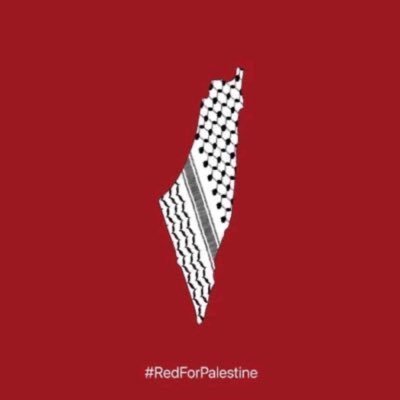 Palestine is my identity, my Arabism, and it is the blood that keeps me alive. I will not abandon her no matter what happens