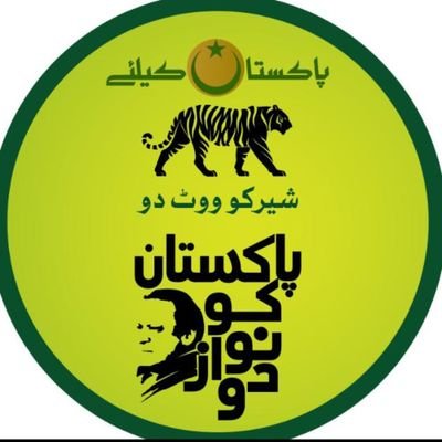 Ali6Pmln Profile Picture