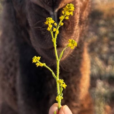 majj32's profile picture. 