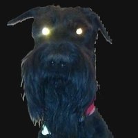 Sgt. Friday (@vanopum) 's Twitter Profile