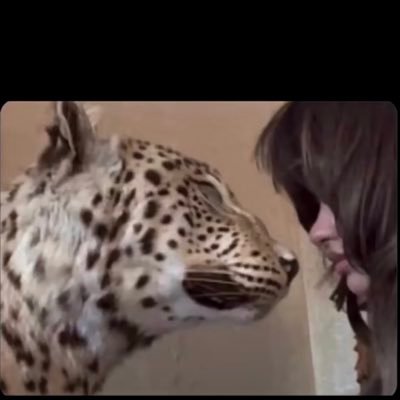 Bra096551761062's profile picture. ااال