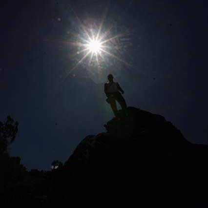 alvigrantes's profile picture. 