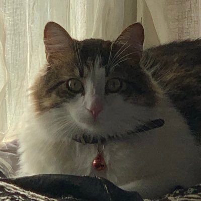 Fearlixiaxiaxia's profile picture. Sanctus dominus
Infernus ad astra
Sanctus dominus
Infernus ad astra
Sanctus dominus
Infernus ad astra
Sanctus dominus
Infernus ad astra