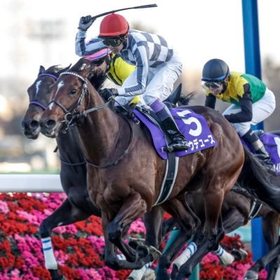 ハセドン、デアリングタクト ドウデュースを愛してます。適当に呟きます GIA2年 競馬RTばっか MR-S乗ってます🙂 期待値マン 逆襲の末脚大好きです