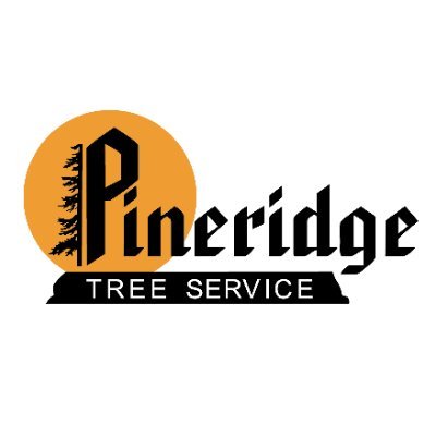 PineridgeTree Profile Picture