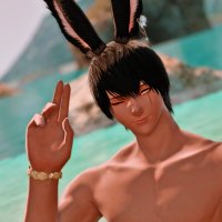 Lonely Fox (@foxxieffxiv) 's Twitter Profile