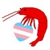 紙魚エビ🏳️⚧️†🏳️🌈トランス差別反対 (@bookfishswim) Twitter profile photo 紙魚エビ🏳️⚧️†🏳️🌈トランス差別反対 (@bookfishswim) Twitter profile photo