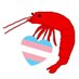 紙魚エビ🏳️‍⚧️†🏳️‍🌈トランス差別反対 (@bookfishswim) Twitter profile photo