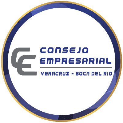 CCEVeracruzBoca Profile Picture