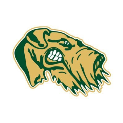 Airedale_Track Profile Picture