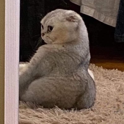 mommynongne's profile picture. 🍬BBG303 4Ever🍬 Twitter : @nnenevader