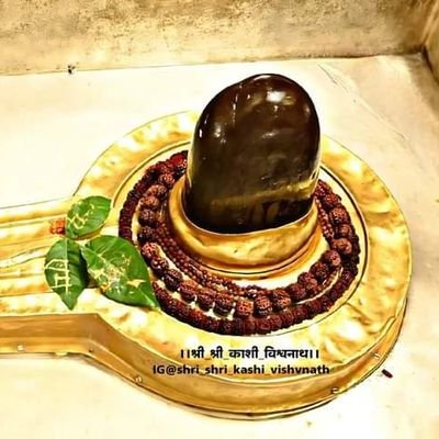 हिन्दू-सनातनी🇮🇳
खाने से पहले किसान 👳और सोने से पहले जवान🧑✈️ को जरुर याद करें। 🇮🇳 भारत माता की जय।