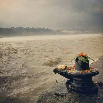 TrueWanderers's profile picture. Hope,grit,courage,faith.🙏