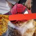 art™ | Spider-Cat🕸 (@arthurzle) Twitter profile photo art™ | Spider-Cat🕸 (@arthurzle) Twitter profile photo