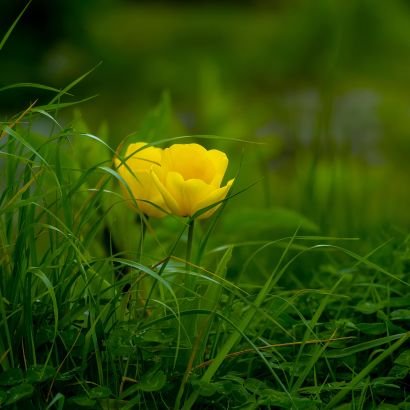 HammadAhmad251's profile picture. "Latest trends in one place 🌍 https://t.co/OwLRtu6kh2