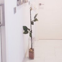 Yixcripto.bnb ๐ธ (@yixcripto) 's Twitter Profile