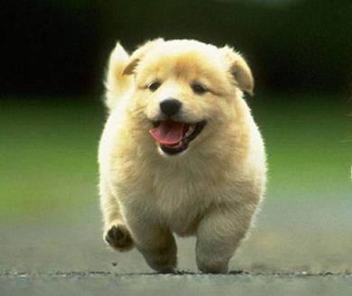 Maooooo♥