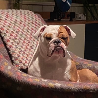 tmromne's profile picture. Golf/Crypto/OffsetPrinting/KillerDanceMoves