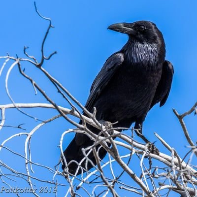 IdaRollins15's profile picture. 