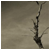 jezazesasi's profile picture. Of Montreal to listen, Ceremony, The to watch. Me: simpletons and nincompoops.
