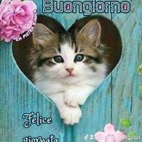 ant... Pi...... (@antonellopigaz1) 's Twitter Profile