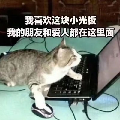 arcute56's profile picture. 来不及成为一个勇敢的人