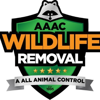 In 1995 one man asked his neighbor for help removing a Raccoon from his attic. Not long after, AAAC Wildlife Removal was born. Now we are a nationwide company.