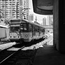 Sonja Waller - @waller66746 - Twitter