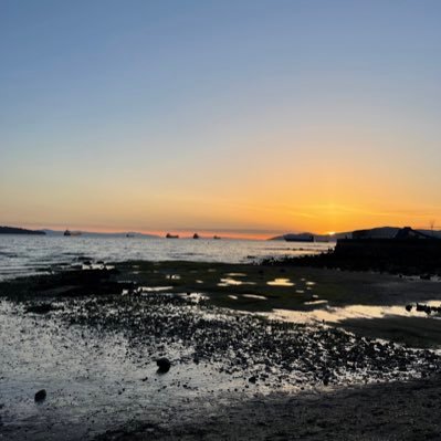 Rational551's profile picture. 