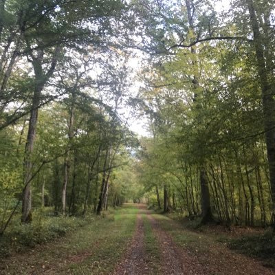 JosephCapelle's profile picture. Joseph de la capelle est une chaîne catholique et légitimiste sur YouTube