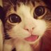 i eat people (@xdxdkitty) Twitter profile photo i eat people (@xdxdkitty) Twitter profile photo
