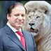 Haider Ali Arain🐅 (@haiderh57491323) Twitter profile photo Haider Ali Arain🐅 (@haiderh57491323) Twitter profile photo