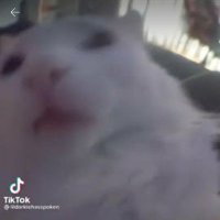 SkilledGER2 (@skilledger18) 's Twitter Profile