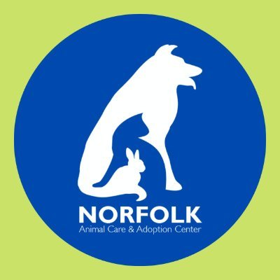 norfolkanimals Profile Picture