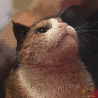 Onni (@onnitheoverseer) 's Twitter Profile