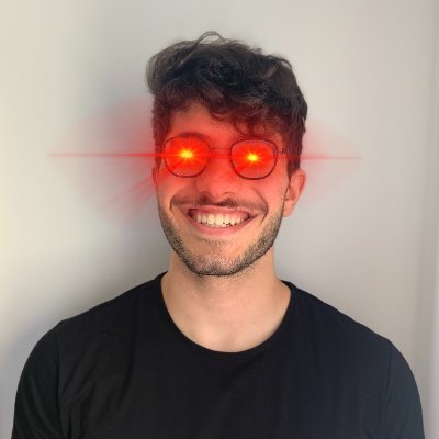 MASc Electrical and Computer Engineering @Carleton_U Research in AISIC (Artificial-Intelligence-Specific Integrated Circuits) e/acc maxxer