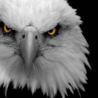 Doctor…! (@doctor80) 's Twitter Profile Photo