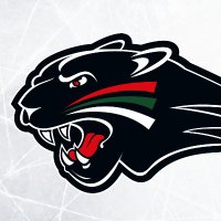 Augsburger Panther(@aevpanther) 's Twitter Profile Photo