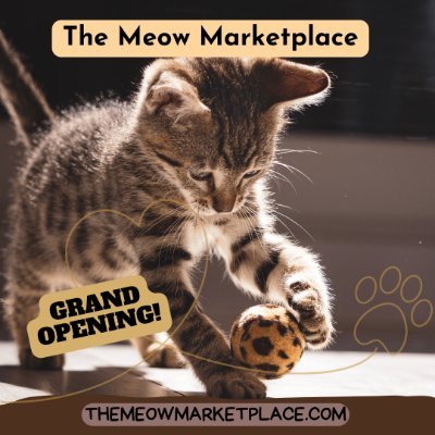 themeowmarket Profile Picture