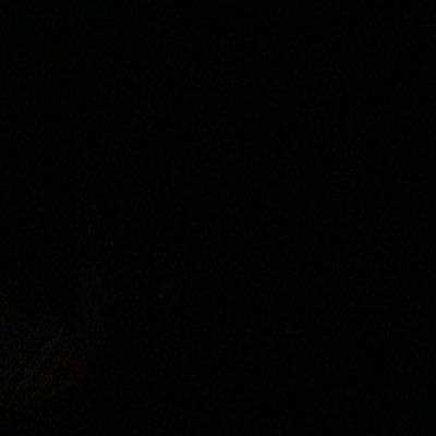 aquele_carioca's profile picture. Brazilian 🇧🇷