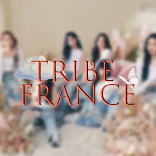 TRIBE_FR Profile Picture