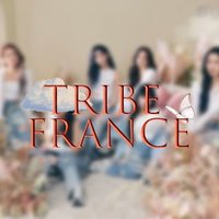 TRI•BE France #DIAMOND 💎 (@tribe_fr_fan) 's Twitter Profile Photo TRI•BE France #DIAMOND 💎 (@tribe_fr_fan) 's Twitter Profile Photo