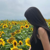 Lina (@jrh142) 's Twitter Profile