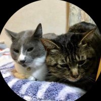 nakaemi (@nakaemi2) 's Twitter Profile
