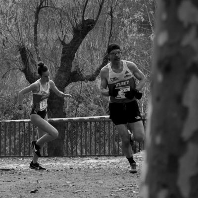 ICarrato's profile picture. 