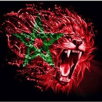 Atlas_Lions20(@Ahmed_9assimi) 's Twitter Profile Photo