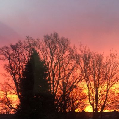 Imran16348642's profile picture. 