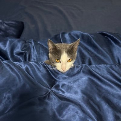 Joeifs's profile picture. Football🏈❤️. love video games.