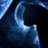desogypik's profile image